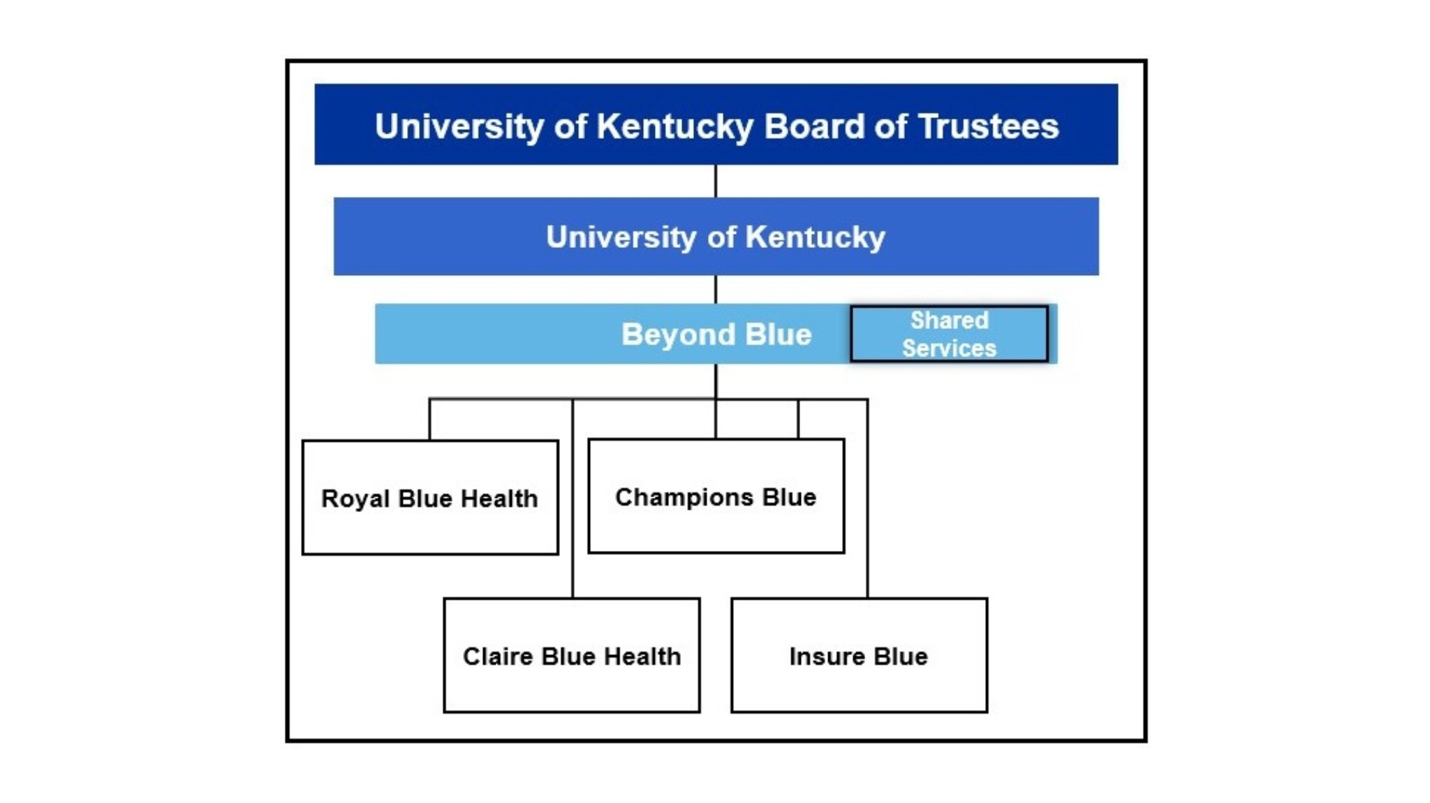beyond blue organizational chart